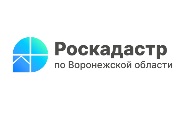 Все лесничества Воронежской области внесены в ЕГРН.