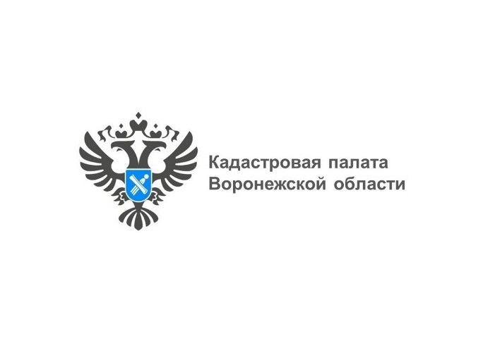 В Воронеже оцифровали более 1,5 млн архивных документов на недвижимость.